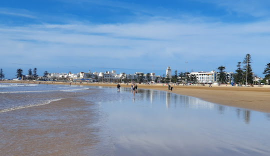 essaouira day trip